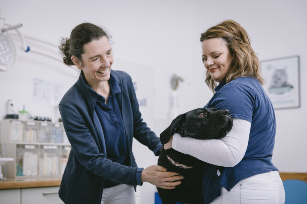 13_Behandlung_Hund_Lindlar-Kleintierpraxis-am-Falkenhof-Lingenbach Ein schwarzer Hund legt den Kopf in die Armbeuge einer Tiermedizinischen Fachangestellten, während die Tierärztin ihn lächelnd anschaut und abtastet.