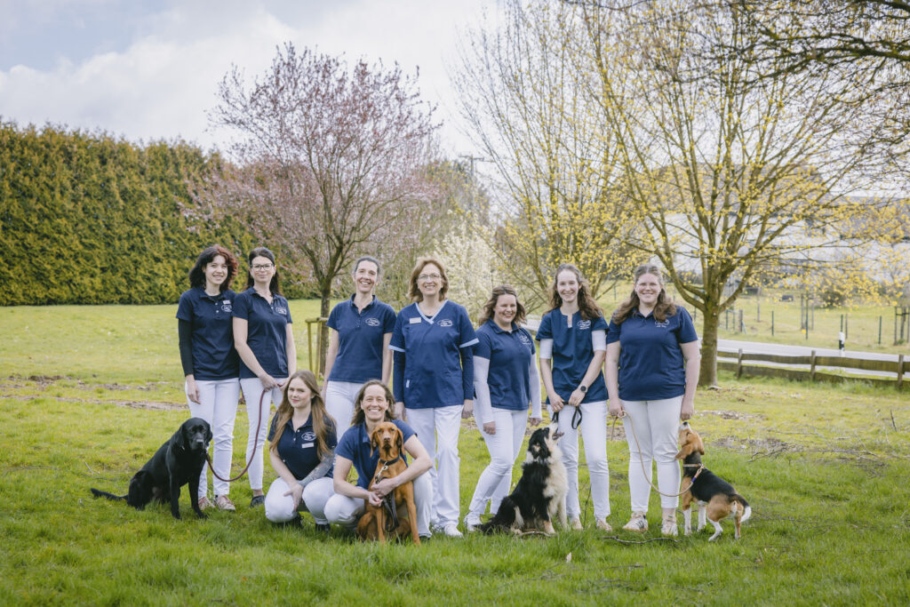 1_Teamfoto_Lindlar-Kleintierpraxis-am-Falkenhof-Lingenbach Teamfoto der Praxismitarbeiterinnen und vier Hunden in einer grünen, frühlingshaften Landschaft.