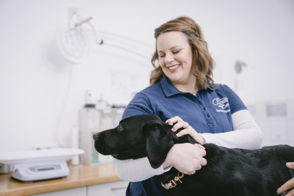22_Teil_des_Teams_Lindlar-Kleintierpraxis-am-Falkenhof-Lingenbach Eine lächelnde Tiermedizinische Fachangestellte hält einen schwarzen Hund am Hals in einem hellen Behandlungsraum.